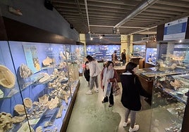 Visitantes en el Museo Marítimo de Asturias, en Luanco.