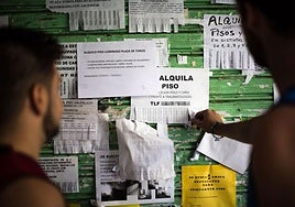 Anuncios de pisos en alquiler.