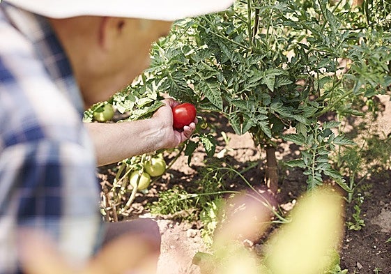 La salud mental en el sector agrario: diez recomendaciones
