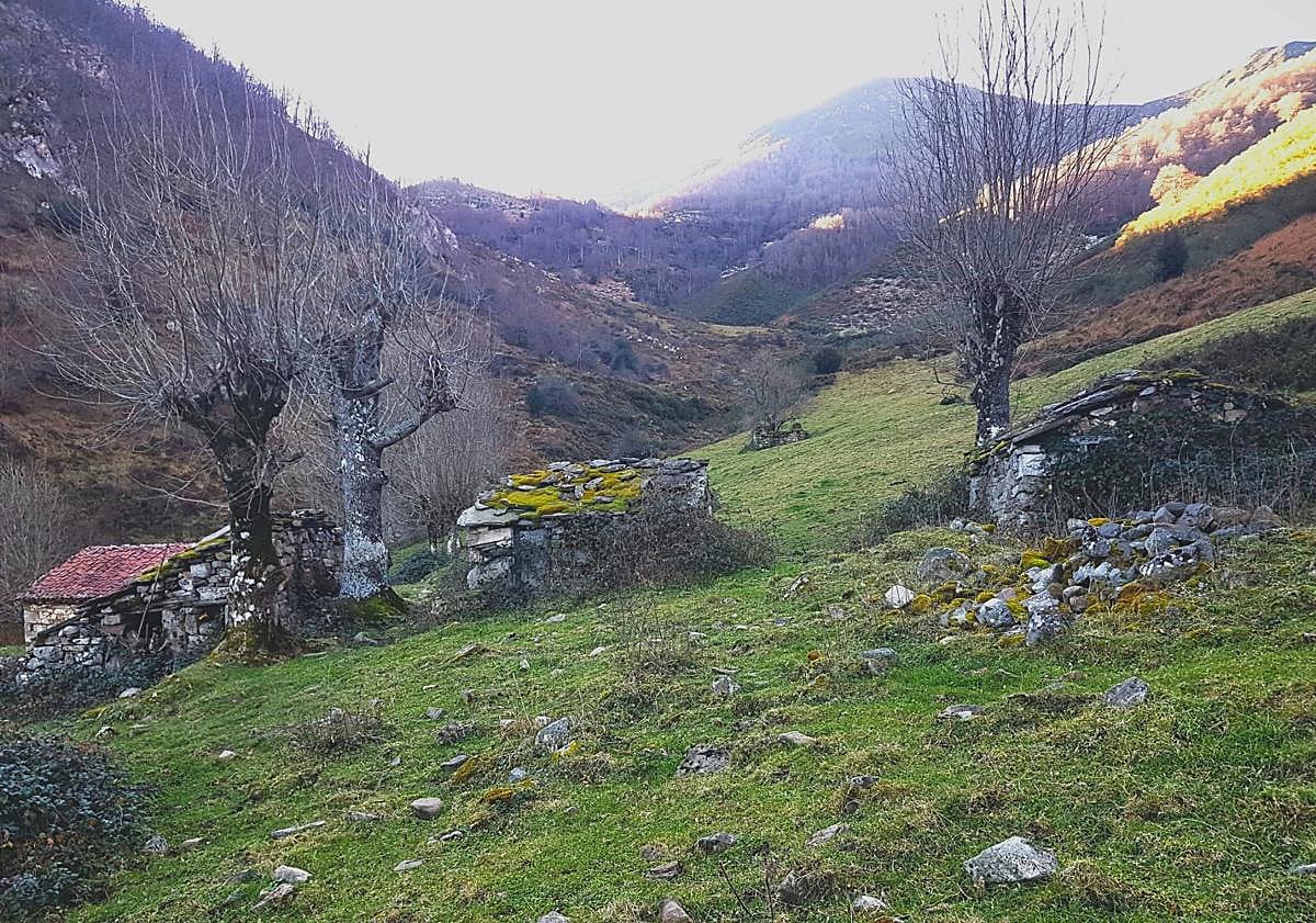 Imagen principal - Majadas, cumbres, colladas, bosques y un albergue de montaña: el trekking que propone Asturias Xabaz para el 6 y 7 de diciembre combina lo mejor del paisaje y la hospitalidad de Redes