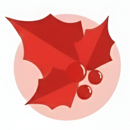 Visita los mercados navideños