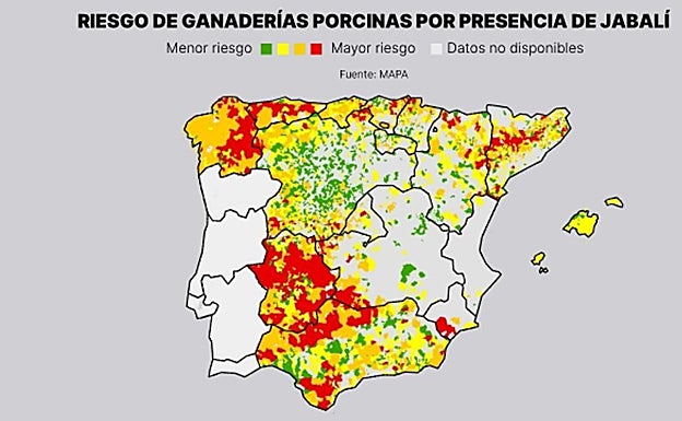 Mapa de zonas de riesgo. En rojo, las zonas con mayor riesgo de verse afectadas por la peste procina.