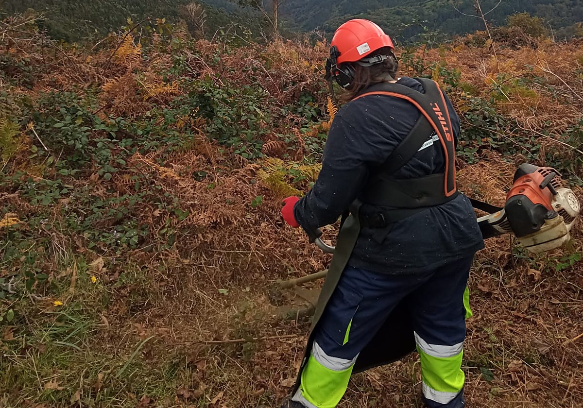 Un contratado por el plan de empleo de este año, en plena acción.