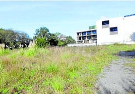 Zona norte de la parcela elegida para este desarrollo urbanístico.