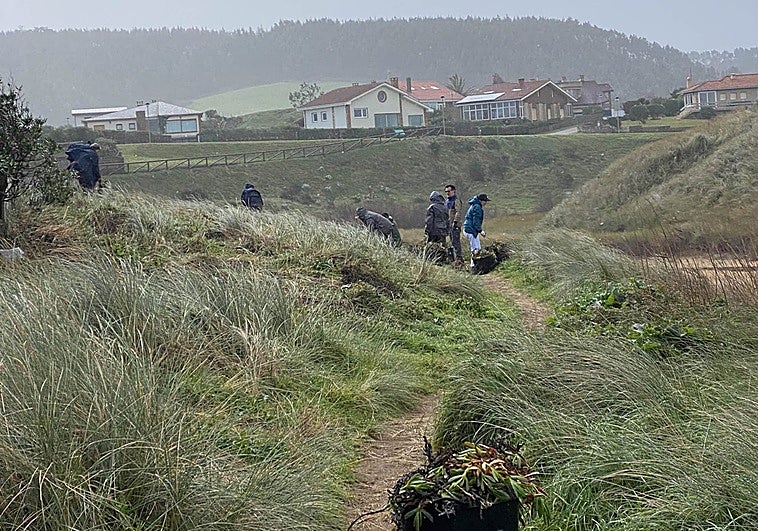 Luz verde medioambiental al parque playa en Verdicio
