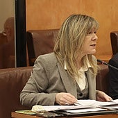 Esther Llamazares durante una de sus intervenciones en el pasado pleno municipal del día 22 de diciembre.