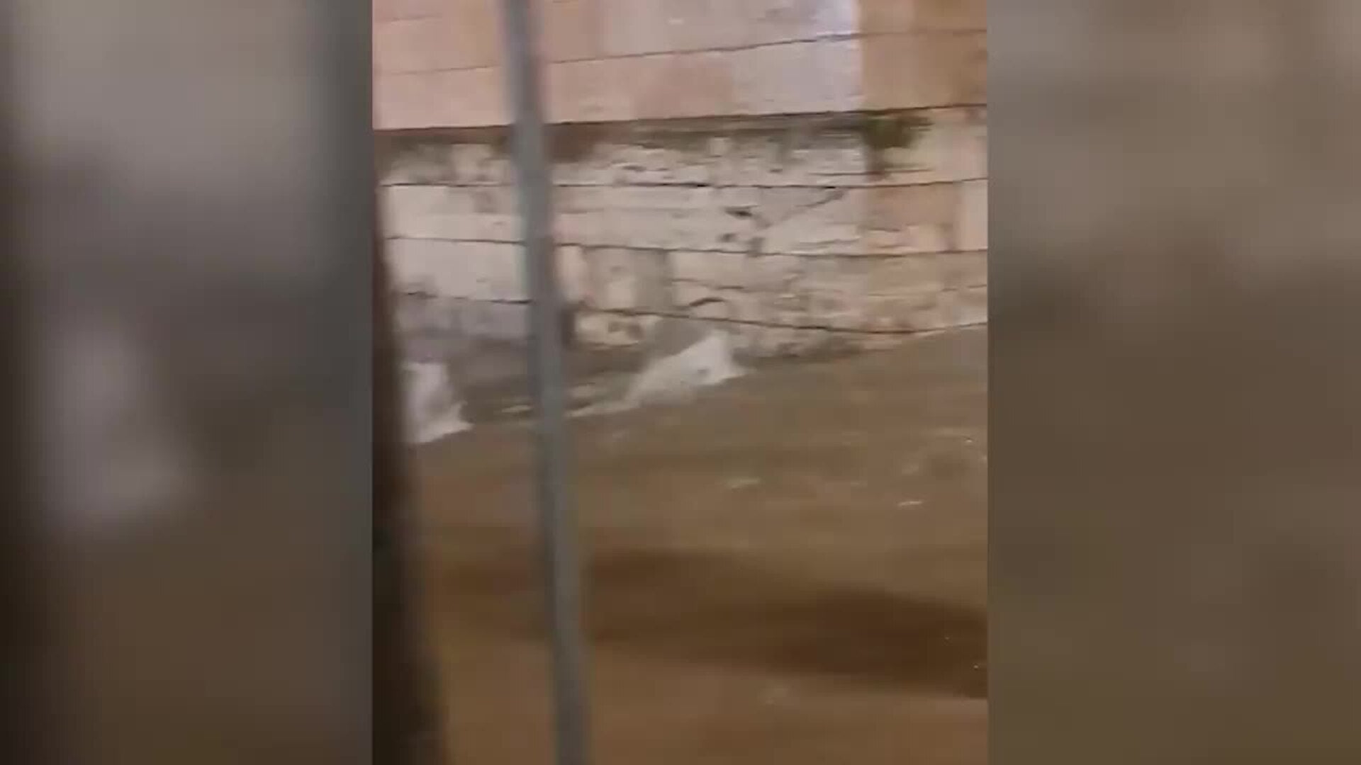 Una fuerte tormenta inunda las calles y provoca destrozos en El Burgo de Osma (Soria)