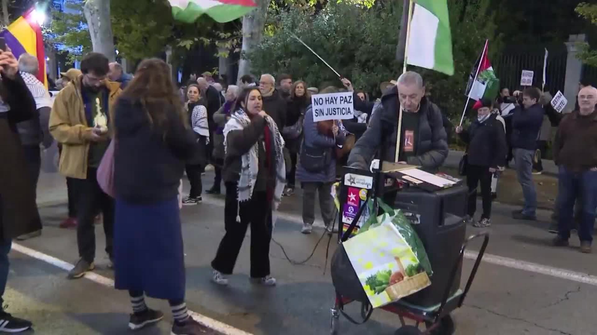 Madrileños recorren las calles en defensa del pueblo palestino