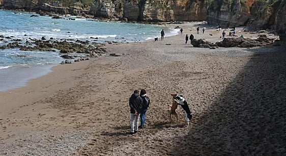 El borrador de la ordenanza de bienestar animal incorpora el cierre de la 'perriplaya' de Gijón en El Rinconín tras aceptarse una alegación del CSIC