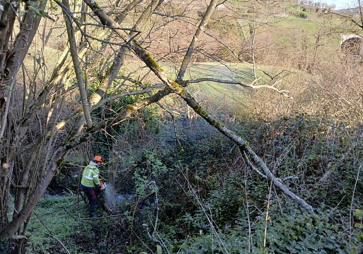 Imagen extraída de ElComercio.es Imagen extraída de ElComercio.es