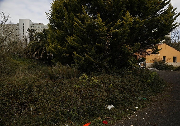 «Quirón tiene que hacer efectivo el convenio en las próximas semanas», reitera el Ayuntamiento de Gijón