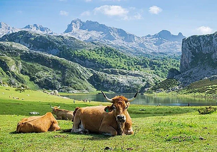 El paisaje más bonito del mundo está en Asturias, según la revista Time Out