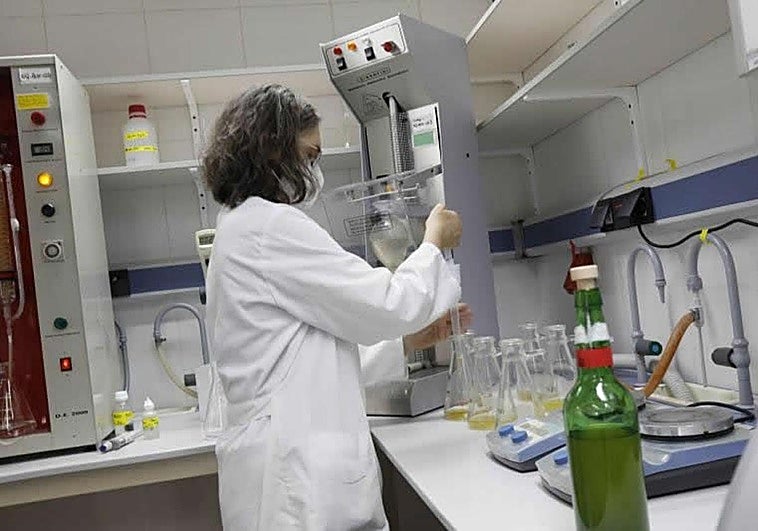 El Serida, 70 años a sus espaldas y 33 nuevos proyectos