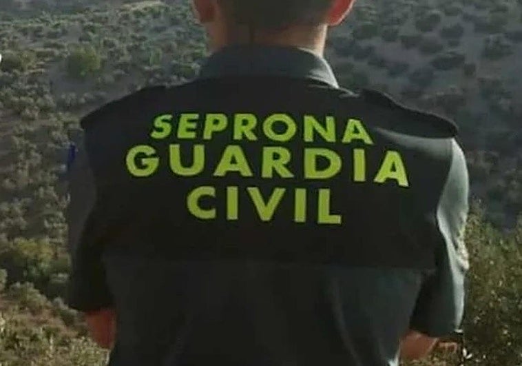 La Guardia Civil interviene en un criadero de perros en Gijón y encuentra animales en deplorables condiciones