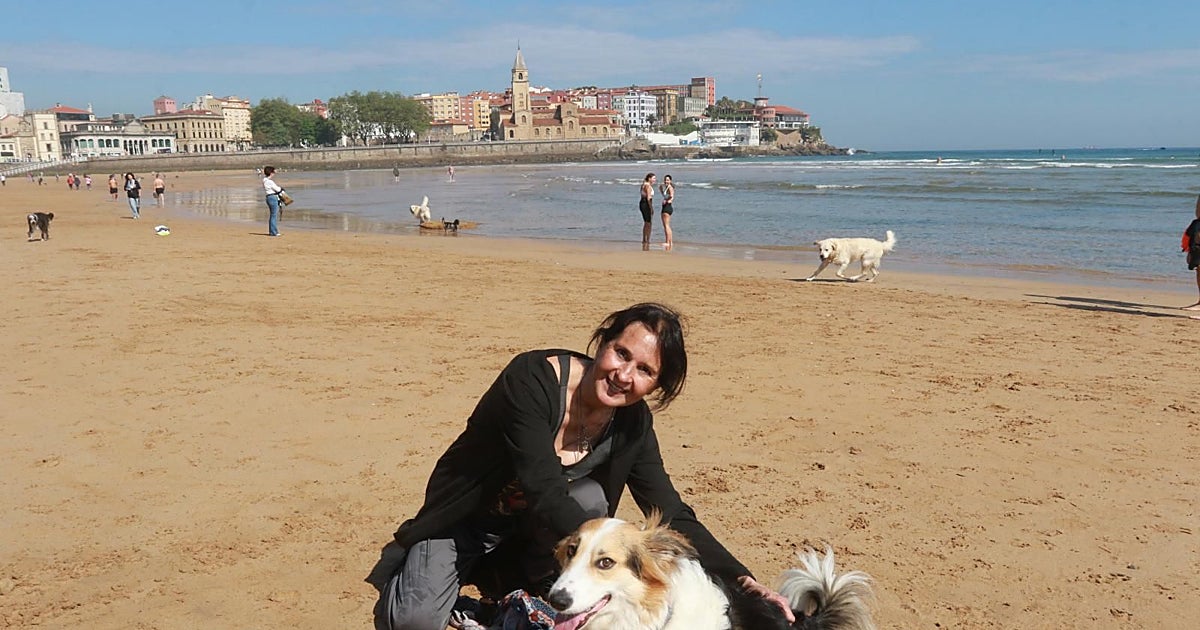 Último día de los perros en la playa en Gijón: «Es el mejor espacio que tienen para jugar»