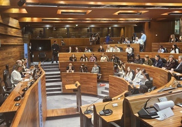 Los estudiantes asturianos en la Junta General del Principado