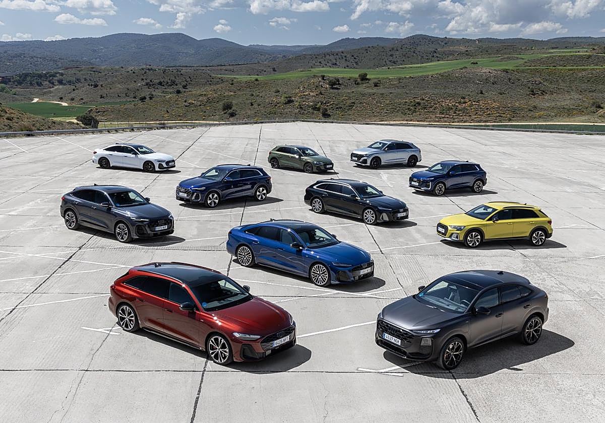 Audi dispone de una completa gama electrificada