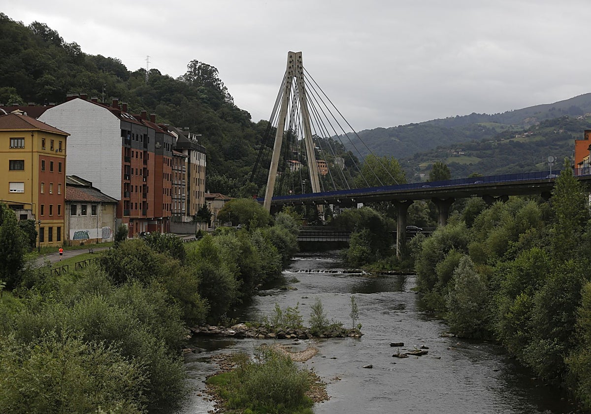 La inspección determina que hay que hacer obras en el puente atirantado de Langreo