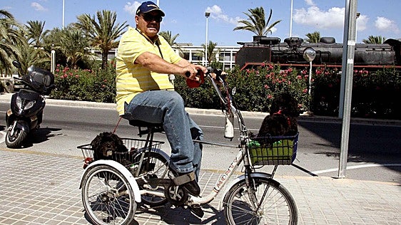 Cómo viajar con tu perro en bicicleta de forma segura: consejos clave para evitar riesgos