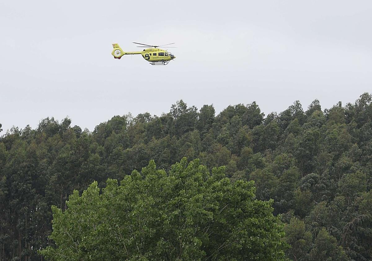 Protección Civil, agentes medioambientales y perros se unen 
