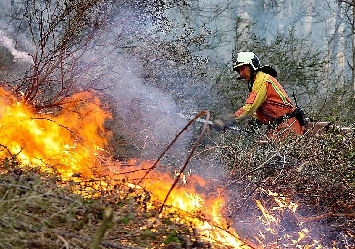 Un incendio en Grado que afecta a Peñaflor y Vega de Anzo obliga a Asturias a activar la fase de emergencia