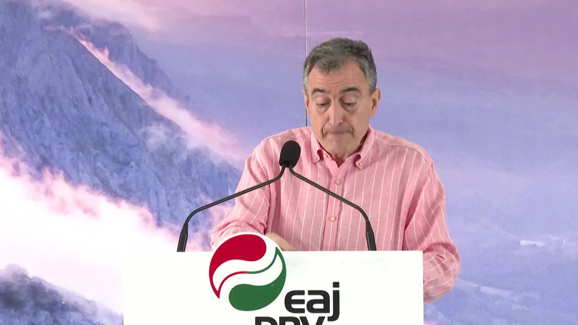 Esteban pide a Otegi "menos antifascismo de mitin y antifascismo de país"