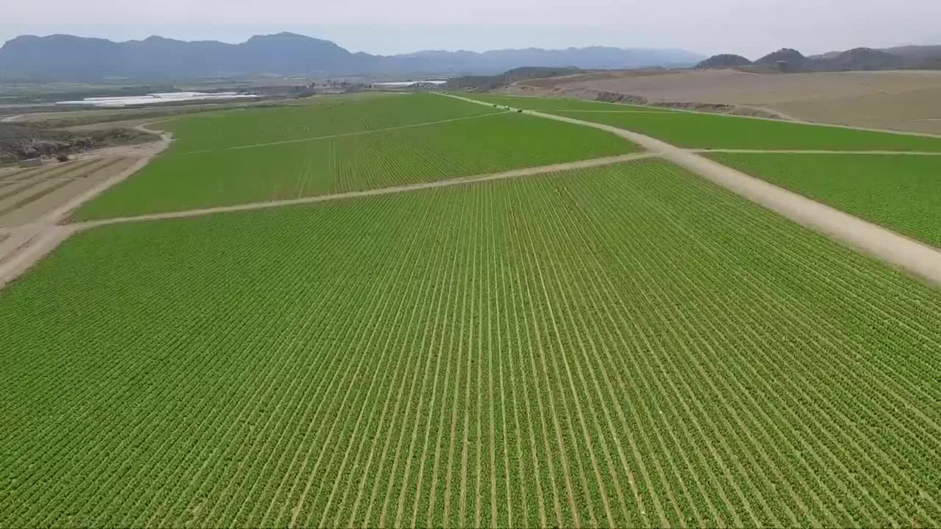 Representantes del sector agrario abordan el reto de la sostenibilidad en el campo