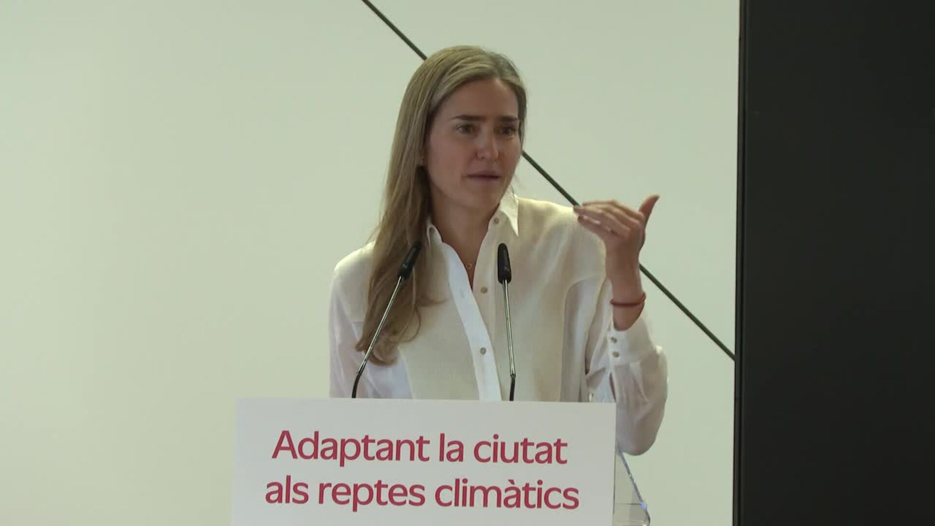 Aagesen anuncia el Plan de Trabajo del PNACC como "nuevo impulso" contra el cambio climático