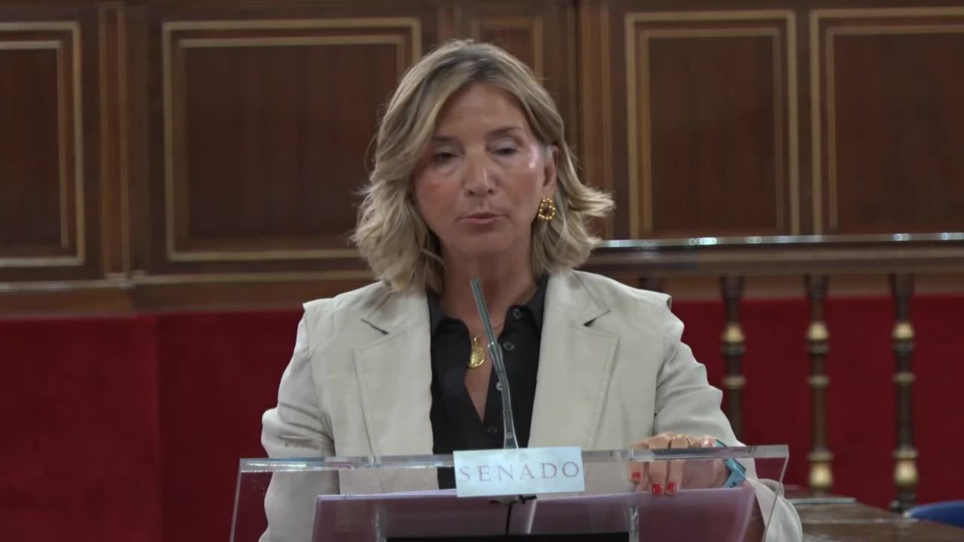 PP cita a Peramato al Senado para dar explicaciones por los contactos con Leire Díez
