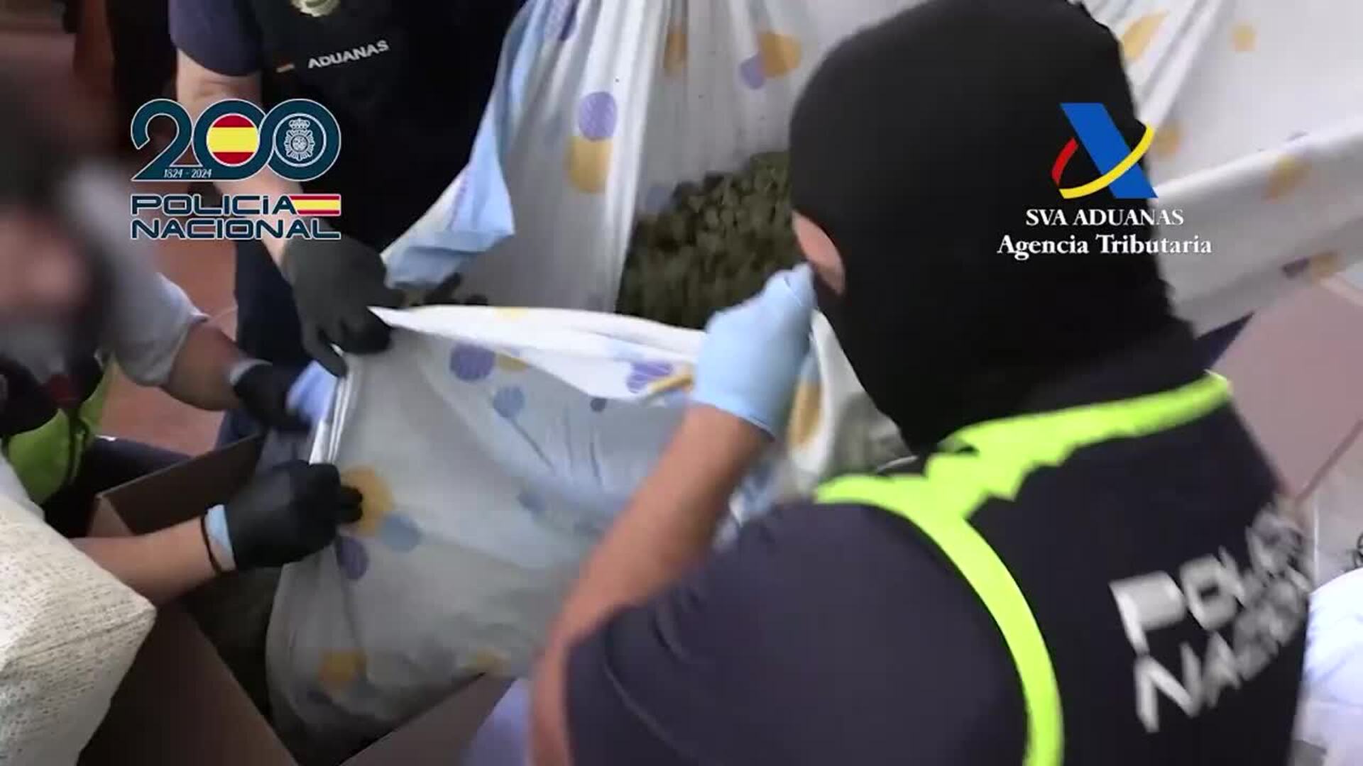 Desmantelado un cultivo de marihuana oculto en una vivienda en Molina de Segura (Murcia)