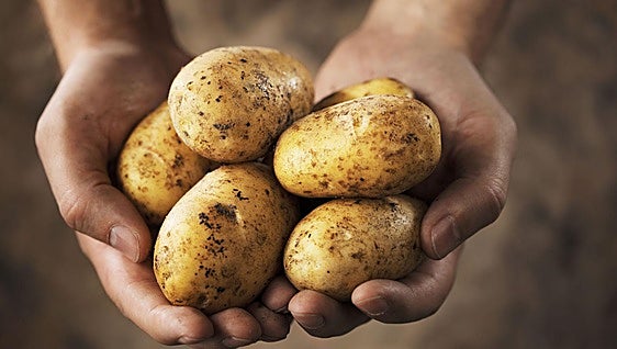 Cómo cocer patatas en solo cinco minutos