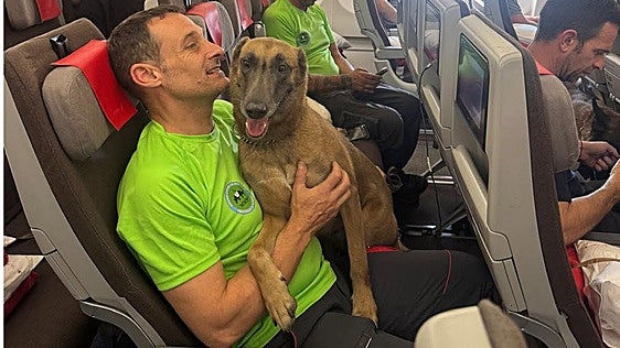La perra 'Kenia', una heroína llegada desde Asturias en las labores de rescate en Venezuela