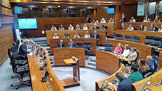 «Los discapacitados deben ser una prioridad de la Junta General del Principado»