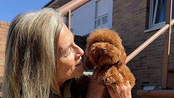 115 perros del 'criadero de los horrores' de Gijón se recuperan con familias de acogida