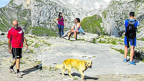 Turistas, acompañados por un perro suelto, disfrutan del paisaje de los Picos de Europa.