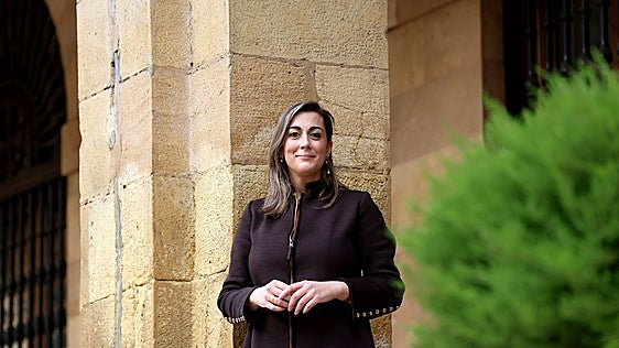 Vox advierte del aumento de la criminalidad en Oviedo
