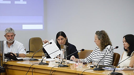 IU advierte de que «la política fiscal de PP y Vox pone en riesgo la estabilidad de Castrillón»