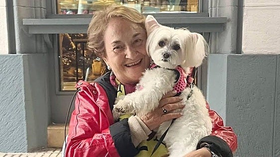 La búsqueda desesperada para encontrar a 'Luna' en Gijón