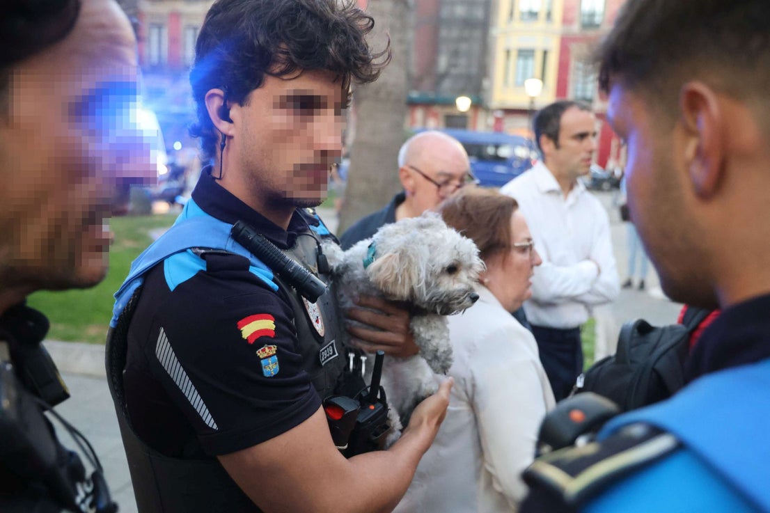 Rescatan a un perro en un incendio en un piso de Gijón