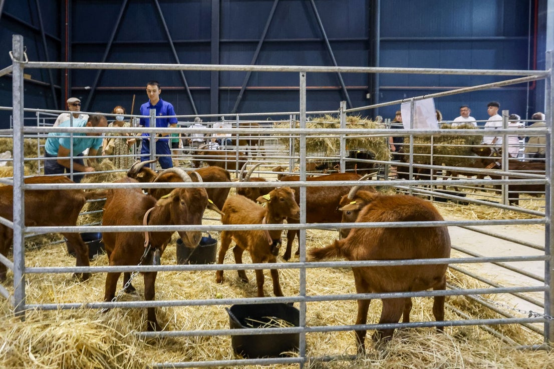 Agropec abre sus puertas en Gijón