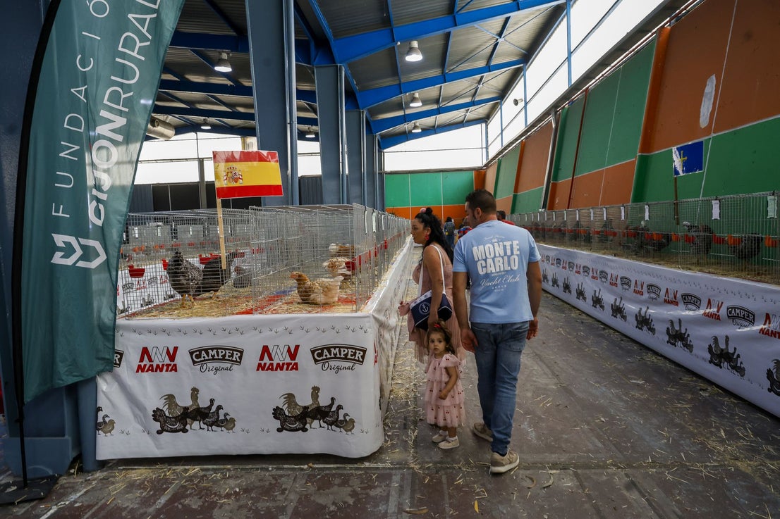 Agropec abre sus puertas en Gijón