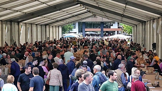 Tradición y fiesta en el 55 Festival de la Avellana en Infiesto