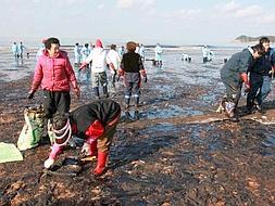 Más de 6.800 personas entre voluntarios y personal de limpieza ayudan a limpiar el crudo de las playas que forman parte del parque nacional de Taean, una zona turística y pesquera. /EFE