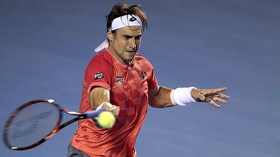 David Ferrer. 