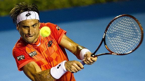 David Ferrer. 