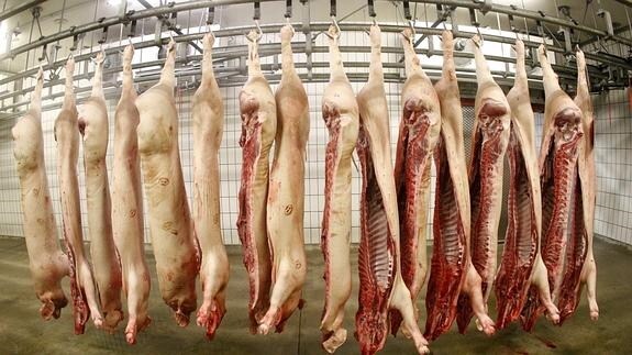 Carne de cerdo en un matadero.