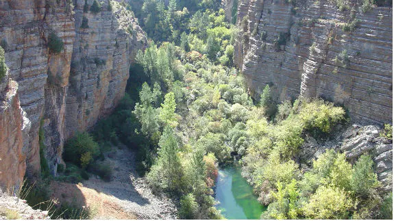 Parque Natural de la Serranía de Cuenca. 