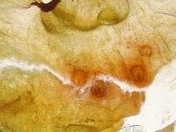 Pinturas del llamado 'Camarín de las vulvas', en la cueva riosellana de Tito Bustillo. / E. C.