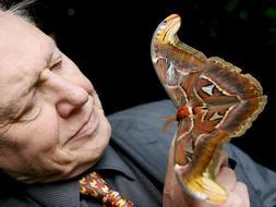 El científico naturalista David Attenborough, galardonado con el Príncipe de Ciencias Sociales
