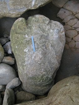 La icnita de Estegosaurio, la mayor hallada hasta la fecha, de 55 centímetros. / N. A.
